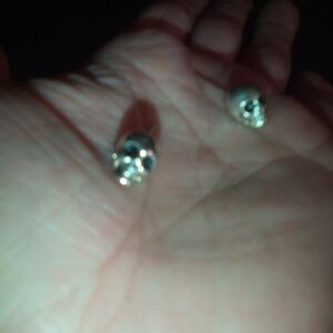 Silver Skull Earrings